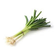 Load image into Gallery viewer, Bunching Onion Seeds