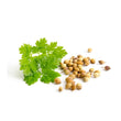 Load image into Gallery viewer, Coriander - Micro green Seeds