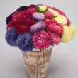 Load image into Gallery viewer, Aster Formula Mixed - Flower Seeds