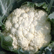 Load image into Gallery viewer, Cauliflower Seeds F-1 Hybrid Summit