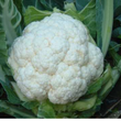 Load image into Gallery viewer, Cauliflower Seeds Amex