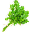 Load image into Gallery viewer, Coriander Imported Split