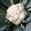 Load image into Gallery viewer, Cauliflower Seeds F-1 Hybrid Agri 2