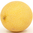 Load image into Gallery viewer, Muskmelon Seeds F-1 Hybrid US-111