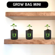Load image into Gallery viewer, Grow Bag Mini - (4"X4")