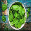 Load image into Gallery viewer, Radish Seeds Palak Patta