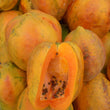 Load image into Gallery viewer, Papaya Seeds (Madhuri)