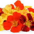 Load image into Gallery viewer, Nasturtium Variegated Mixed -Flower Seeds
