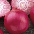 Load image into Gallery viewer, Onion Seeds F-1 Hybrid Red Cosmo
