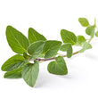 Load image into Gallery viewer, Oregano Seeds Kitchen Garden Packaging
