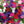 Load image into Gallery viewer, Petunia Multiflora Mambo (Hybrid) - Flower Seeds
