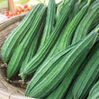 Load image into Gallery viewer, Ridge Gourd Seeds F-1 Hybrid US-395 (Imp)