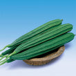 Load image into Gallery viewer, Ridge Gourd Seeds F-1 Hybrid US-495 (Green)