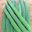 Load image into Gallery viewer, Ridge Gourd Seeds Jaipur Long