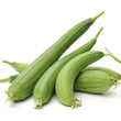 Load image into Gallery viewer, Sponge Gourd Seeds Light Green