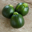 Load image into Gallery viewer, Summer Squash Seeds (Chappan Kaddu) F-1 Hybrid US-14215 (Dark Green)