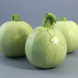 Load image into Gallery viewer, Summer Squash Seeds (Chappan Kaddu) F-1 Hybrid US-211 (Light Green)