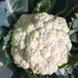 Load image into Gallery viewer, Cauliflower Seeds F-1 Hybrid US-3333