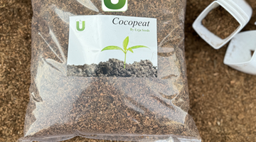 Best use of Coco Peat Powder