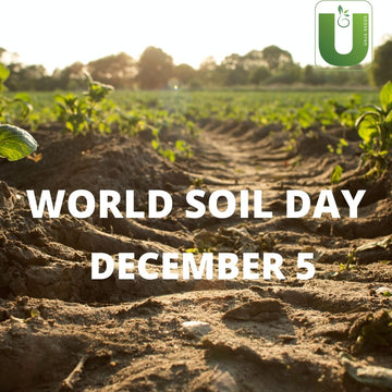 What is World Soil Day? History, Significance, Themes & More