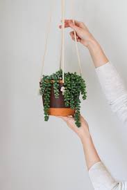 Amazing DIY Ideas for Hanging Planters.