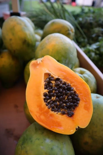 Grow Healthy Papayas in your Home Garden Easily