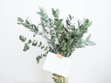 Why is gifting plants always a good idea?