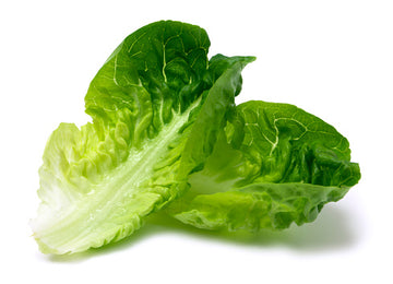 Grow Romaine Lettuce in your homes easily
