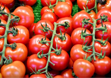 Grow Yummy Tomatoes For Your Kitchen From Your Kitchen Garden