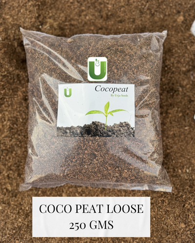 Coco Peat Powder 250GMS