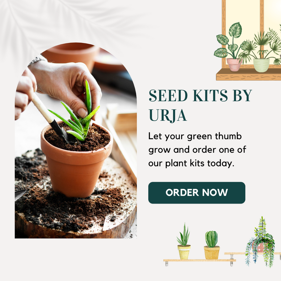 Vegetable Seed Kit MINI