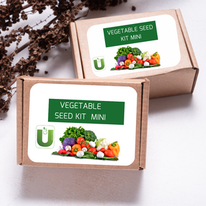 Vegetable Seed Kit MINI