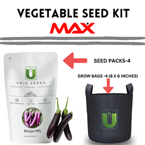 Vegetable Seed Kit MAX
