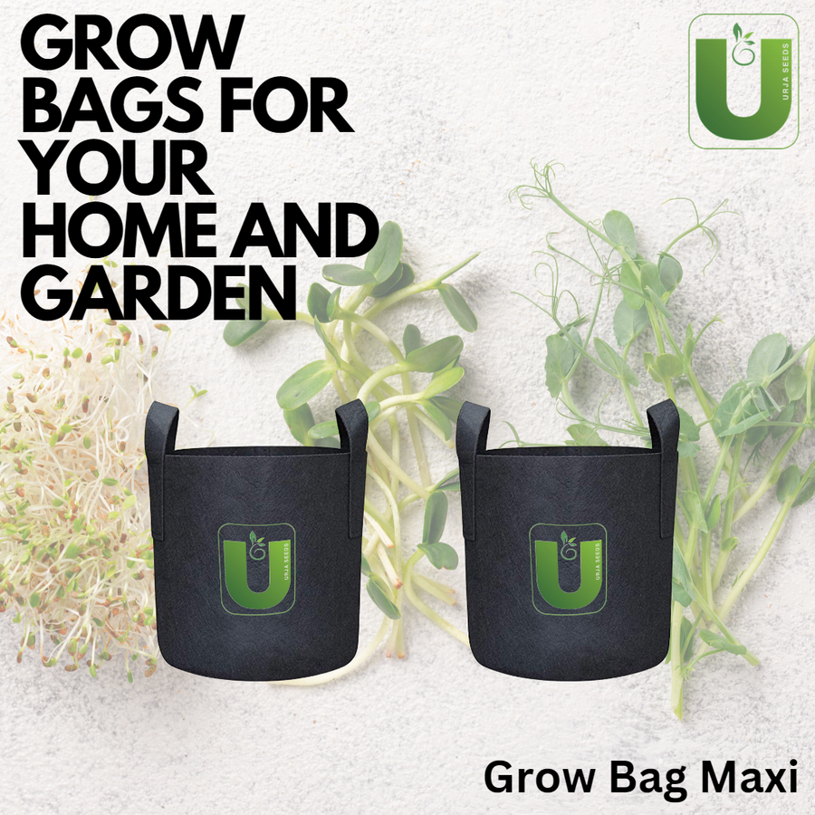 Grow Bag Maxi-(8"X6") Set of 2