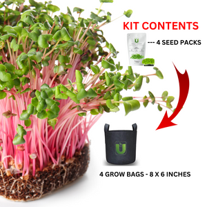 Micro Green Kit MAX