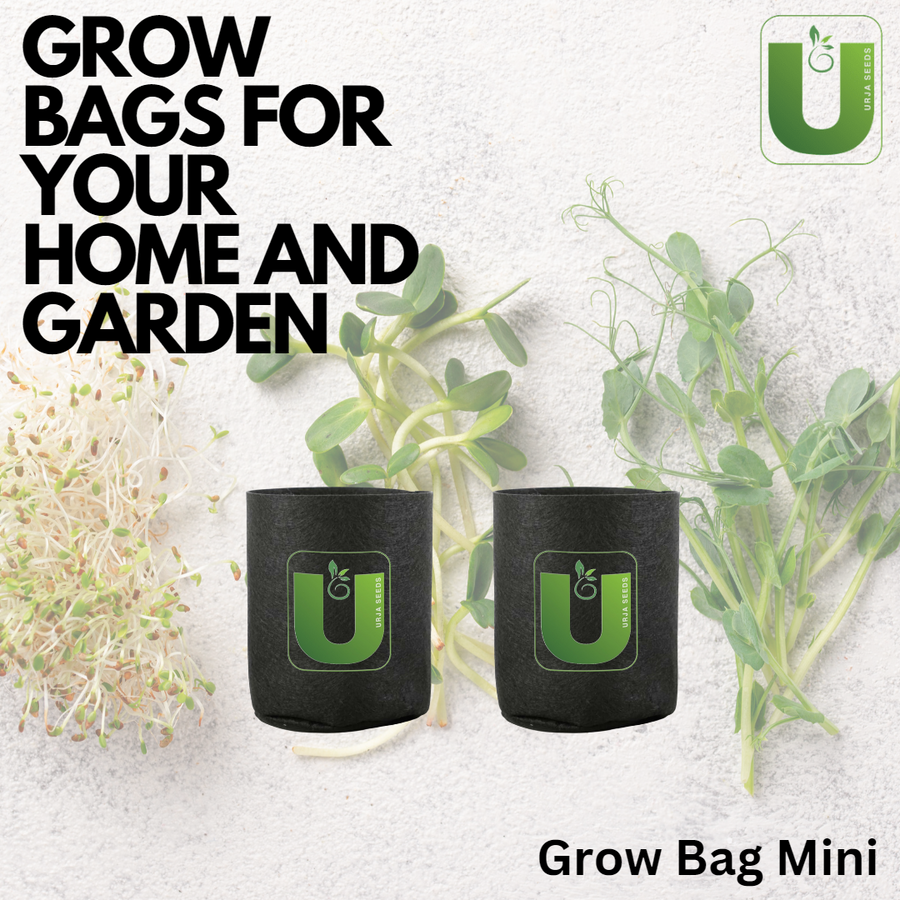 Grow Bag Mini - (4"X4") Set of 2