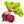 Load image into Gallery viewer, Beetroot Seeds- Detroit Dark Red (DDR)
