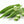 Load image into Gallery viewer, Bhindi Seeds F-1 Hybrid US-480
