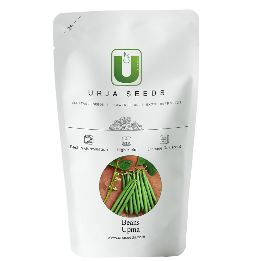 Beans Seeds- Upma