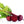 Load image into Gallery viewer, Beetroot Seeds F-1 Hybrid Maharaja Red
