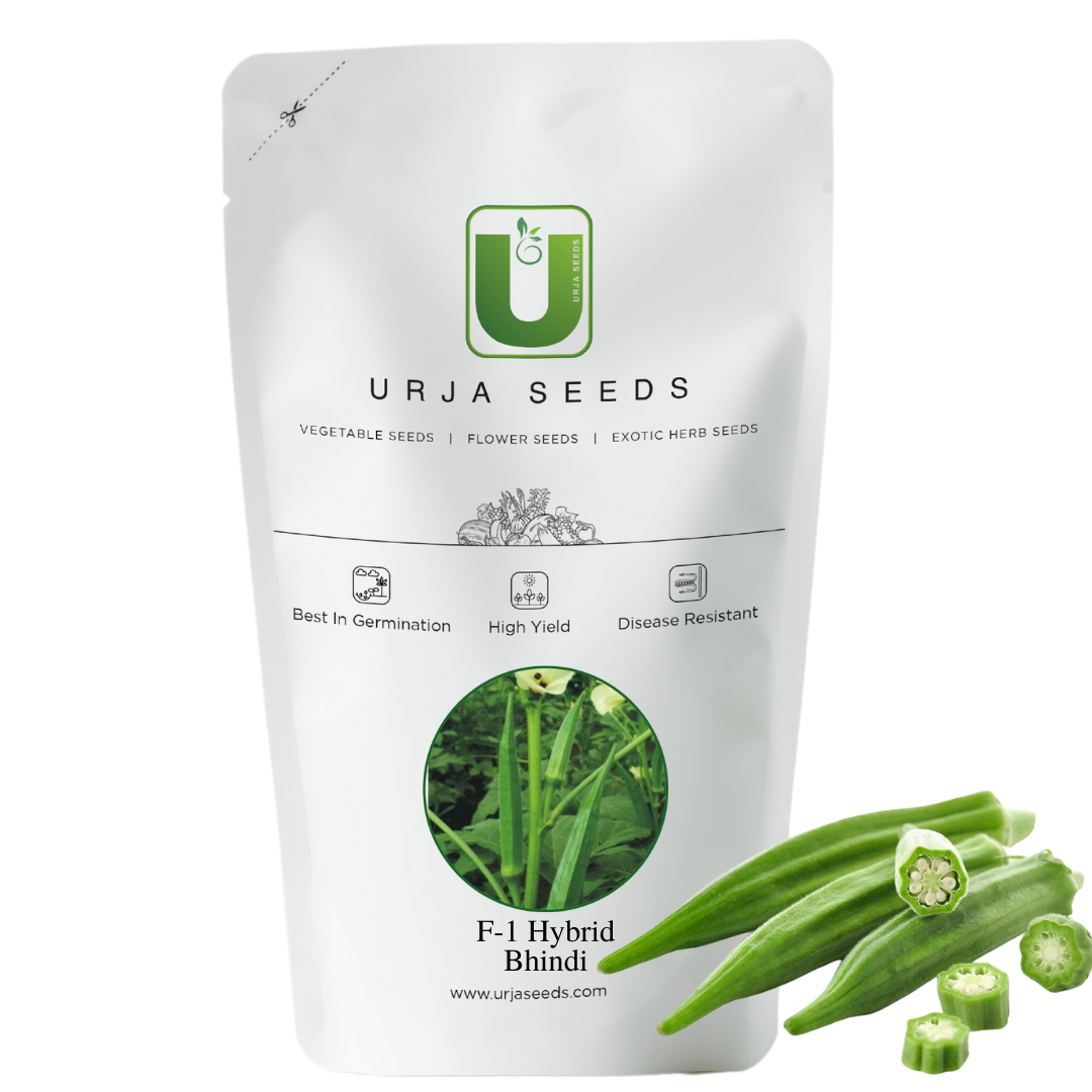 Shop F1 Hybrid US 120 Bhindi [Okra] Seeds Online Urja Seeds