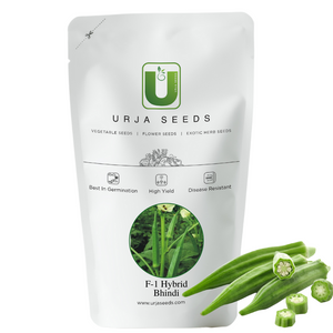 Bhindi Seeds F-1 Hybrid US-120