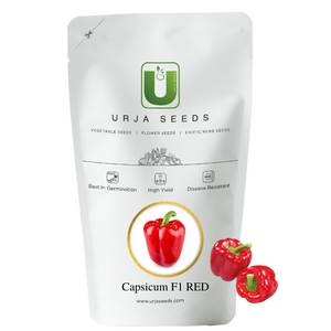 Capsicum Seeds F-1 Hybrid Red