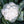 Load image into Gallery viewer, Cauliflower Seeds Galaxy
