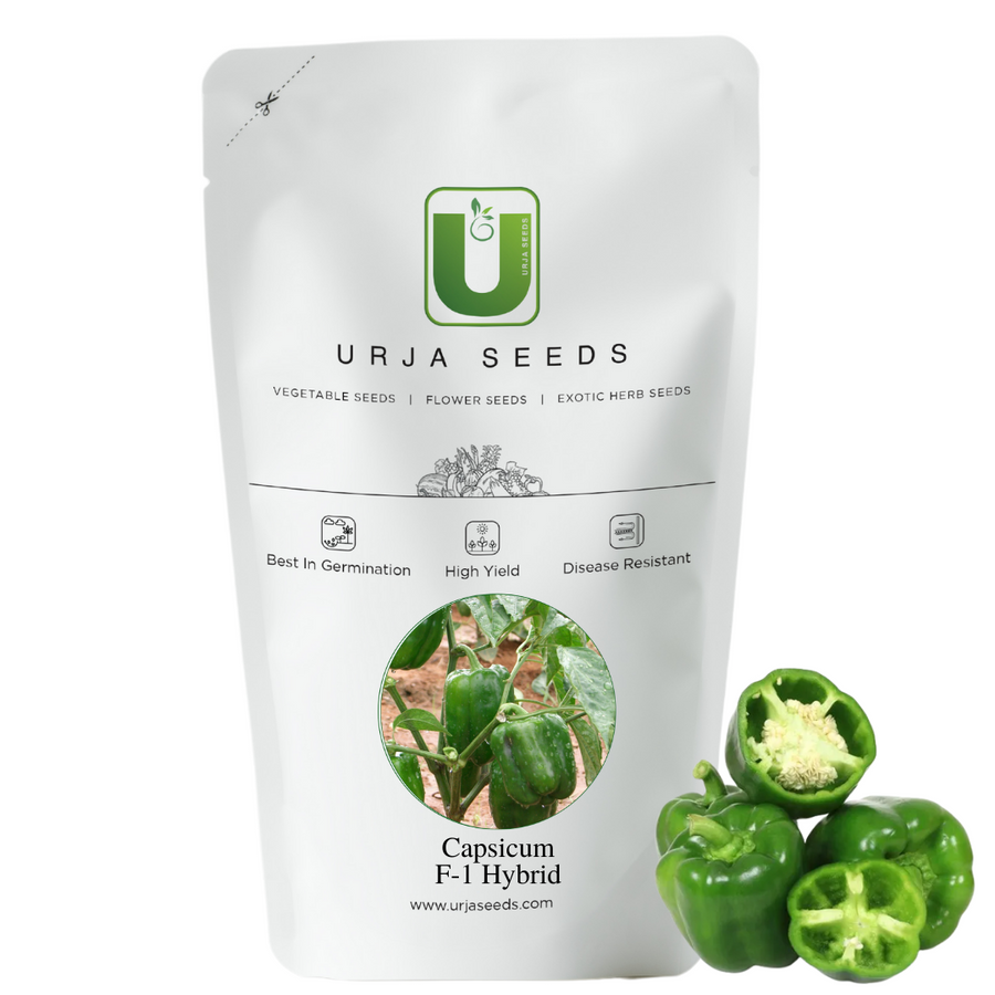 Capsicum Seeds  F-1 Hybrid Crystal Urja Green (Imp)
