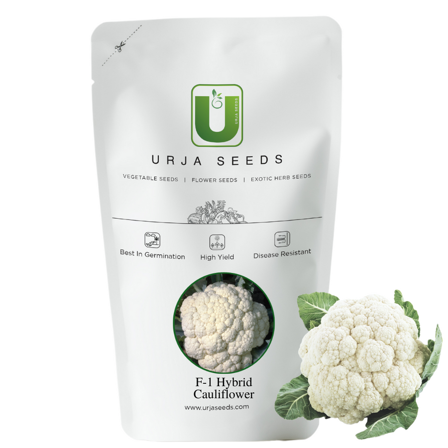 Cauliflower Seeds F-1 Hybrid Agri 1