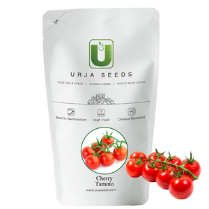 Cherry Tomato Seeds F-1 Hybrid