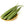 Load image into Gallery viewer, Ridge Gourd Seeds F-1 Hybrid US-472 (Light Green)
