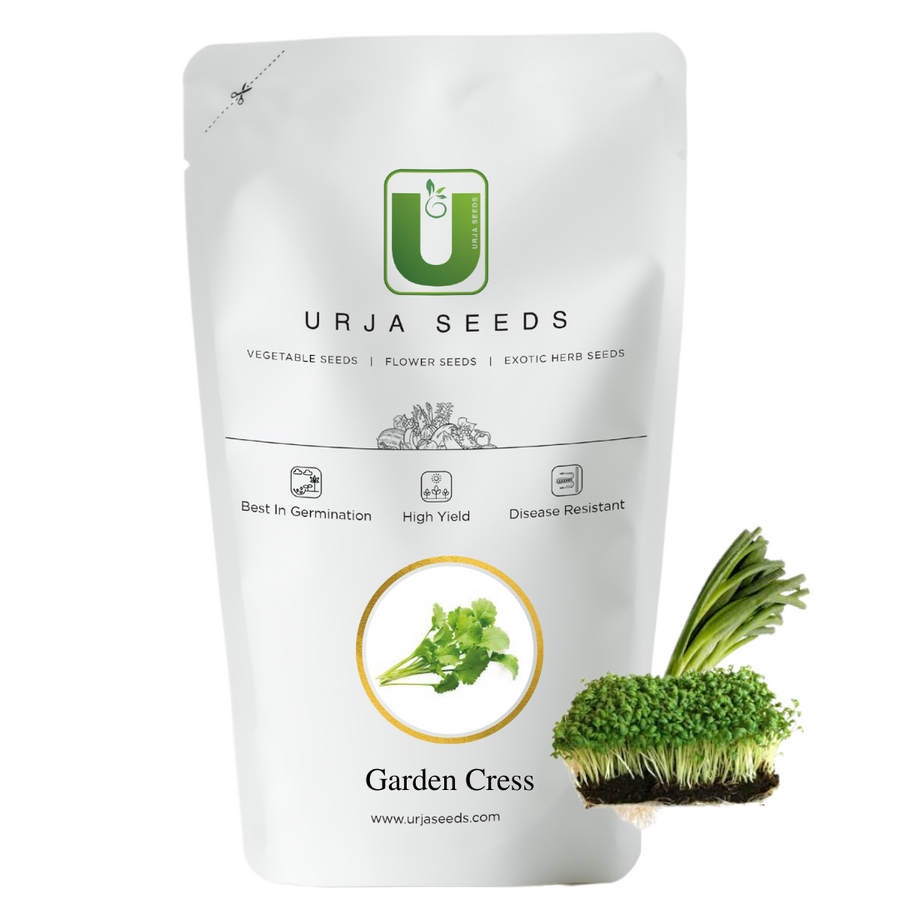 Cress-Micro Green Seeds
