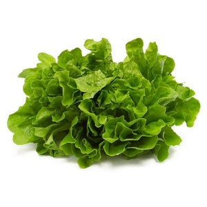 Lettuce Green Curled - Vegetable Seeds